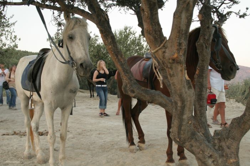 Carousel image