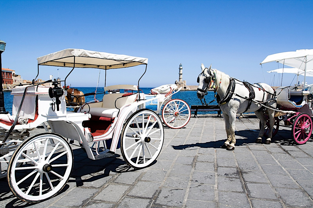 Carousel image