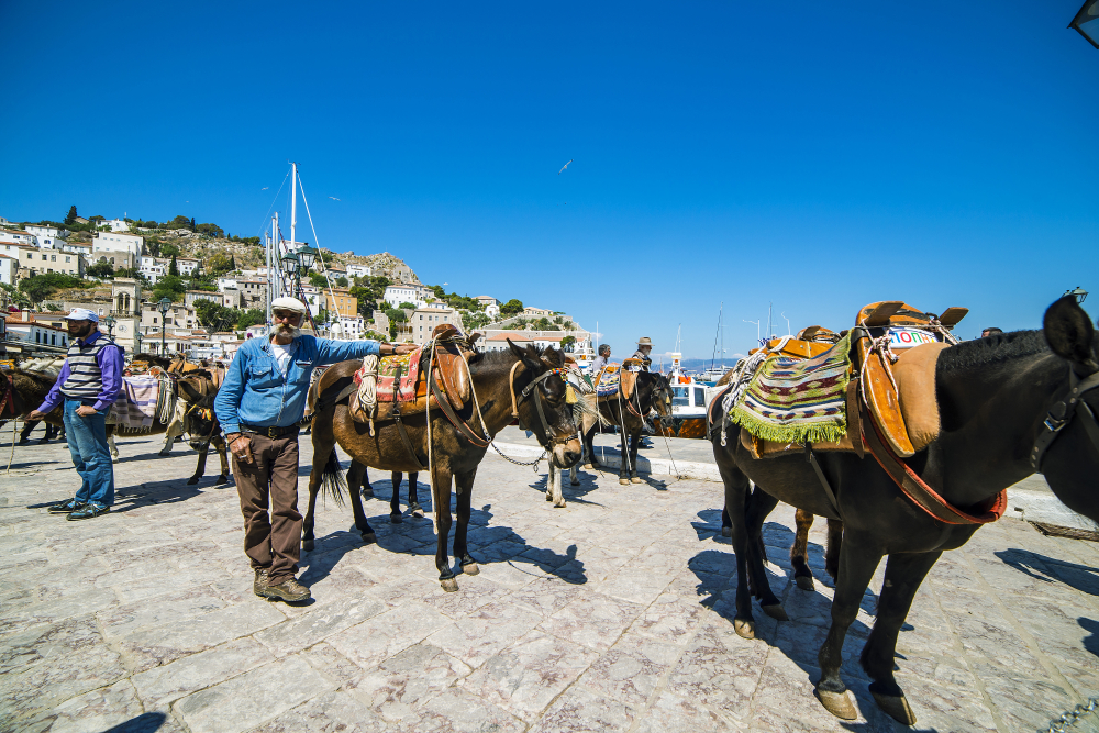 Carousel image